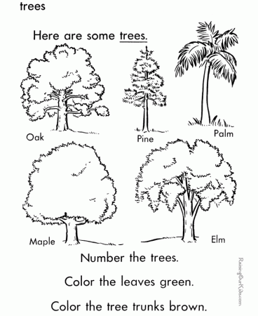Free Coloring Pictures Of Trees, Download Free Coloring Pictures Of Trees  png images, Free ClipArts on Clipart Library