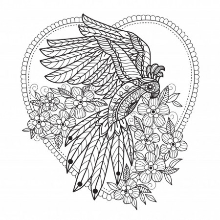 Parrot and flowers coloring pages for adults | Premium Vector