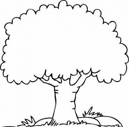 Tree Coloring Pages For Kindergarten Trees Coloring Fall Trees ...