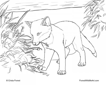 Fox Coloring Pages To Print Fox Coloring Pages Swiper The Fox ...