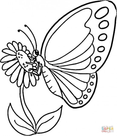 Monarch Butterfly coloring page | Free Printable Coloring Pages