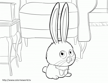 Snowball - The Secret Life Of Pets Coloring Page