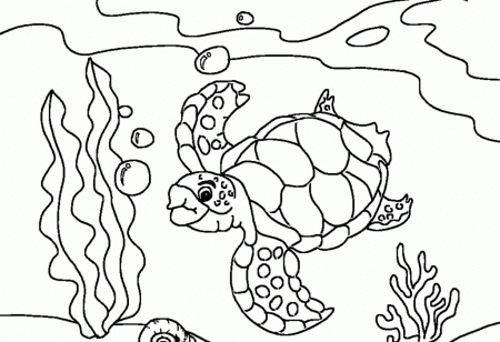 Printable Sea Turtle Coloring Pages Kids - Colorine.net | #26425