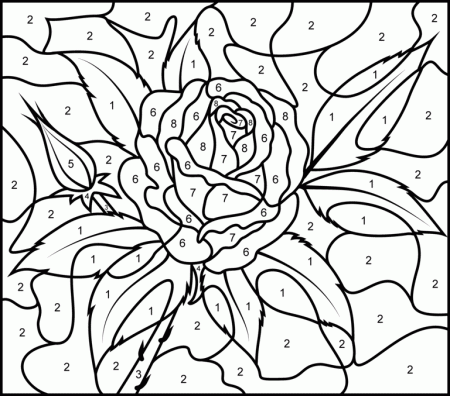 Rose - Printable Color by Number Page - Hard | Rose coloring pages ...