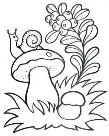 Printable Mushroom Coloring Pages For Kids
