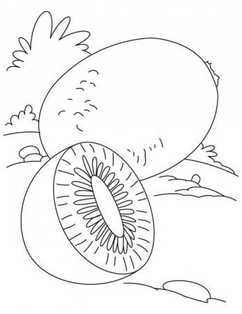Nothing found for Kiwi Fruit Coloring Page | Fruit coloring pages, Coloring  pages, Animal coloring pages