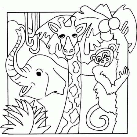 Education Free Coloring Pages Of Animal Safari, Acumen Jungle ...