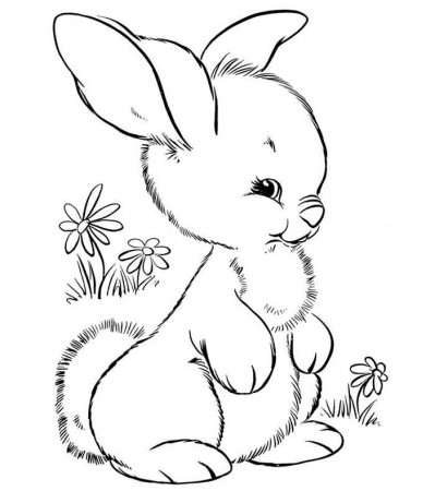 70+ Animal Colouring Pages Free Download & Print! | Free & Premium ...