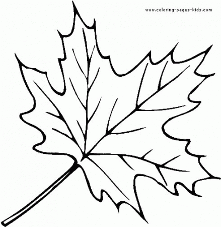 Leaf - Coloring Pages for Kids and for Adults