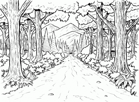 Forest For Kids - Coloring Pages for Kids and for Adults