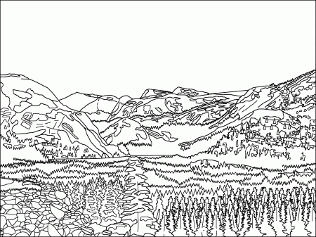 California Redwood Coloring Page - Coloring Pages For All Ages