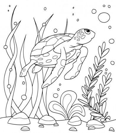 Free TURTLE Coloring Pages for Download (Printable PDF) - VerbNow