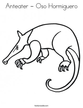 Anteater - Oso Hormiguero Coloring Page - Twisty Noodle