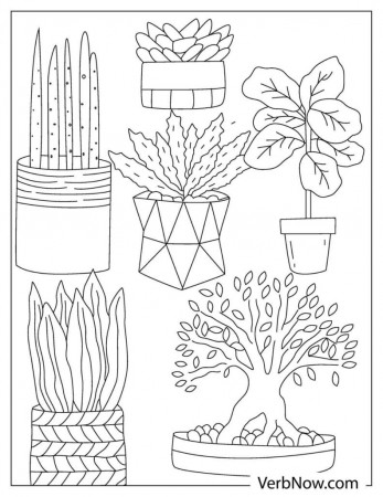 Free PLANT Coloring Pages & Book for Download (Printable PDF) - VerbNow