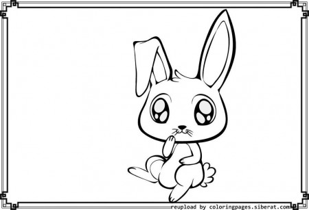 Cute Bunny Rabbit Coloring Pages - Coloring Page