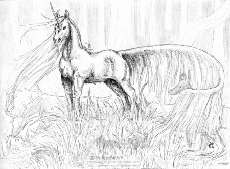Related Pegasus Coloring Pages item-12292, Pegasus Coloring Pages ...