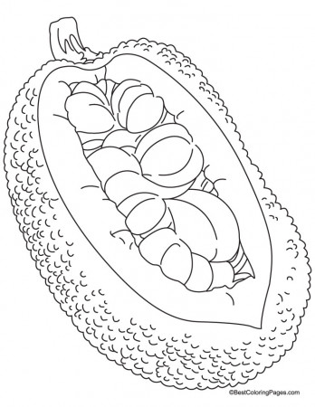 Jackfruit and big seeds coloring pages | Download Free Jackfruit ...