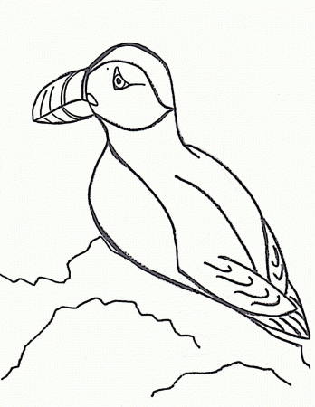 Atlantic Puffins Coloring Pages - Coloring Pages For All Ages