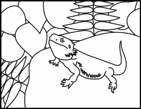 Bearded Dragon Coloring Pages | Roaring Spork