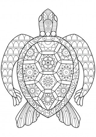 Coloring Pages : Reptile Coloring Best For Kids Iguana Zen Turtle ...