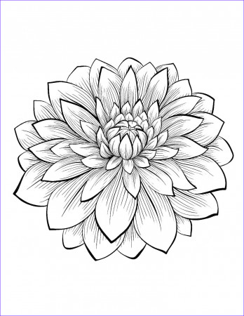 Coloring Pages : Coloring Freer Pictures Spring Sheets Flower And ...