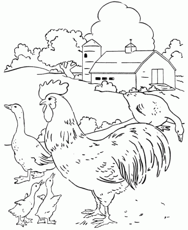 Farm Life Coloring Pages | Chickens and geese in the barn yard ...