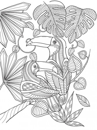 Épinglé sur Coloring--Back to our youth--Adult Coloring Projects!