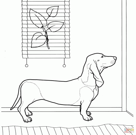 Dachshund dog coloring page | Free Printable Coloring Pages