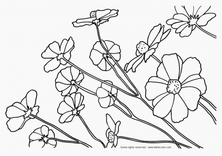 Beautiful Full Page Coloring Pages - Coloring Pages For All Ages