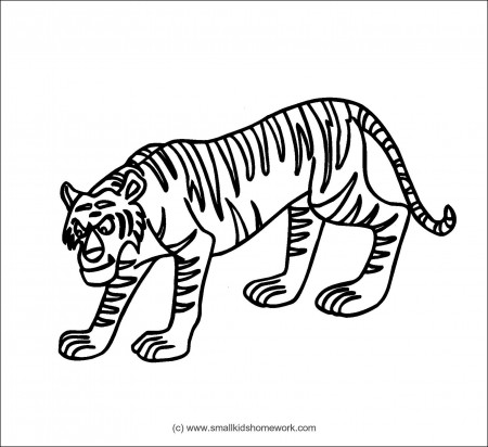 Tiger Outline Drawing - ClipArt Best