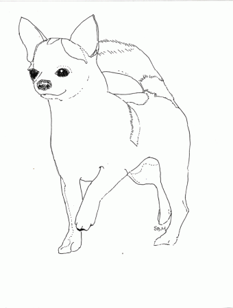 Chihuahua Coloring Page - Coloring Pages for Kids and for Adults