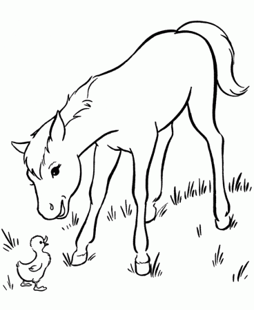 Horse Coloring Page - Coloring Pages for Kids and for Adults
