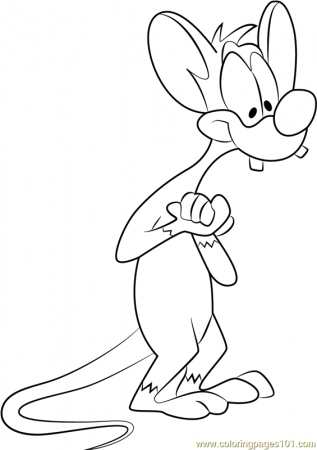 Pinky Coloring Page for Kids - Free Animaniacs Printable Coloring Pages  Online for Kids - ColoringPages101.com | Coloring Pages for Kids