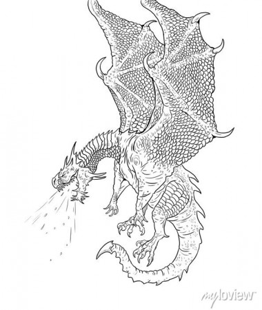 Dragon coloring page. outline illustration. dragon drawing coloring • wall  stickers huge, children, lizzard | myloview.com