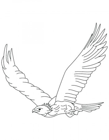 Coloring pages of a baby falcon Lego falcon coloring page free lego coloring  pages | Kathye.anayelizavalacitycouncil.com