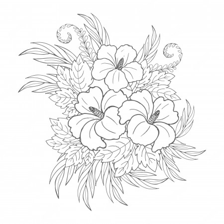 Premium Vector | Hibiscus line art hand made drawings coloring pages for  kids and adult