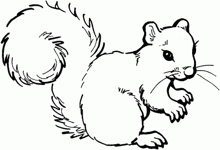 Squirrel With Acorn Coloring Page | Clipart Panda - Free Clipart ...