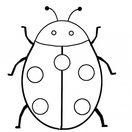 Ladybug Coloring Pages | Insect coloring pages, Ladybug ...