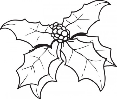 Free, Printable Christmas Holly Coloring Page for Kids