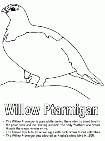 Willow Ptarmigan Coloring Alaska Coloring Page In Uncategorized ...