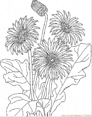 daisy daisy flower Colouring Pages