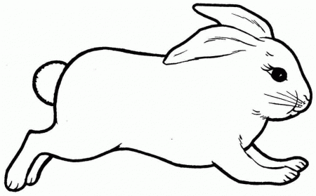 jumping rabbits Colouring Pages (page 2)