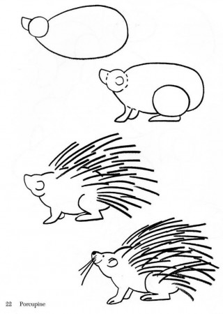 porcupine drawing - Google Search | Donkey & Porcupine