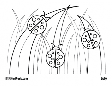 counting ladybugs Colouring Pages