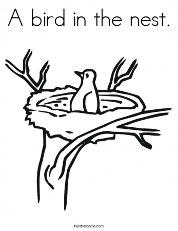 Pix For > Bird Nest Outline