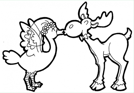 Have You Ever Seen a Moose Kissing a Goose? by AvidArtist1836 on 
