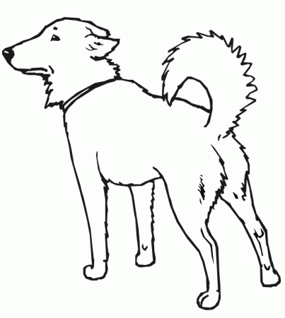 real dog coloring pages | Coloring Pages For Kids