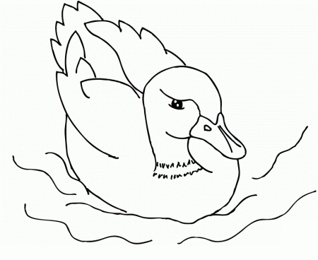 children coloring page of duck : Printable Coloring Sheet ~ Anbu 
