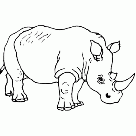 Rhinos Printable Kids Coloring Pages | BullGallery.