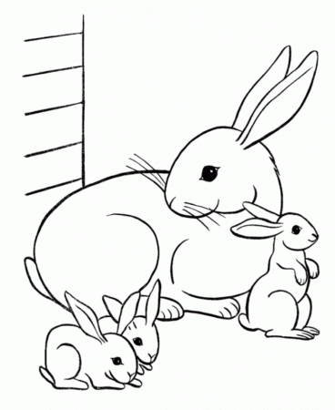 print Printable Rabbit Coloring pages for kids | Great Coloring Pages